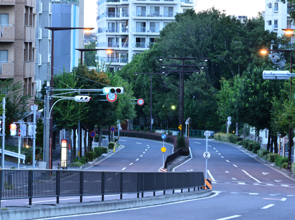 Yamate Green Road (about 260m)