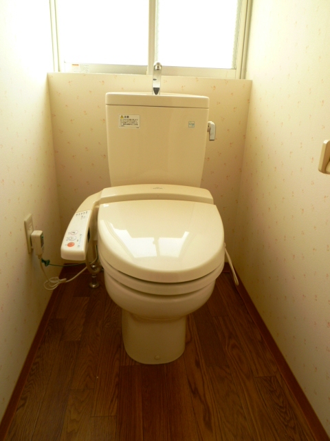 Toilet. Bidet, Window with toilet space