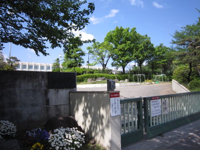 Primary school. Municipal Tsurumai 350m up to elementary school (elementary school)