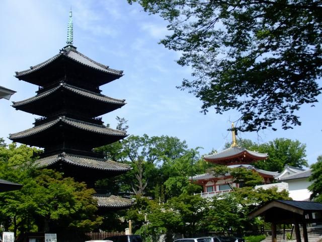 Other. Kōshō-ji to (other) 1100m