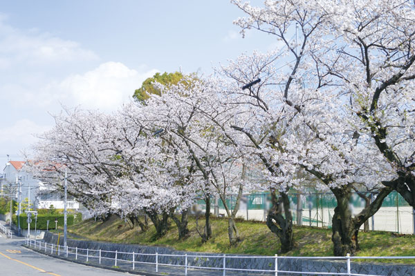 Surrounding environment. Nagoya Tachikawa name junior high school (a 2-minute walk ・ About 130m)