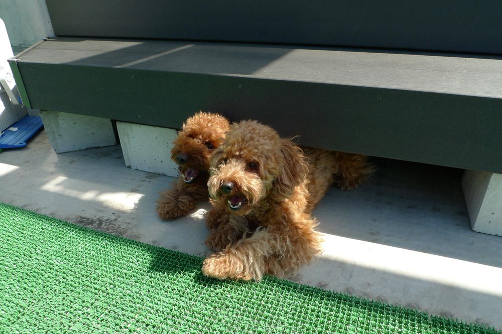 Same specifications photos (Other introspection). Rooftop balcony Same specifications Photos