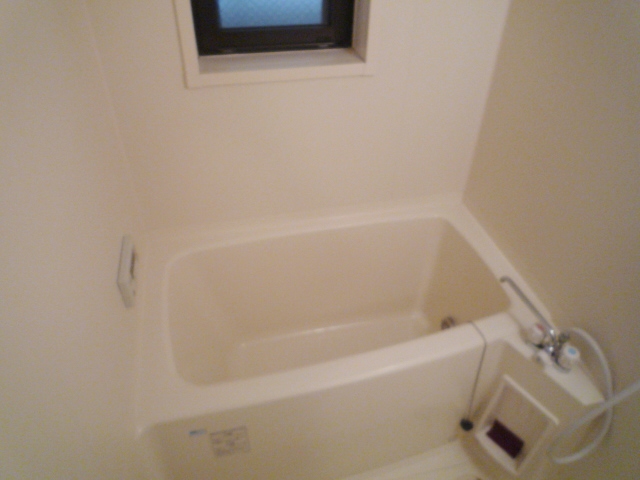 Bath. The window with the bathroom