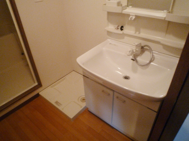 Washroom. Shampoo dresser