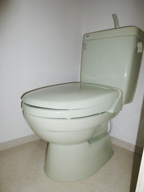 Toilet. Western-style toilet