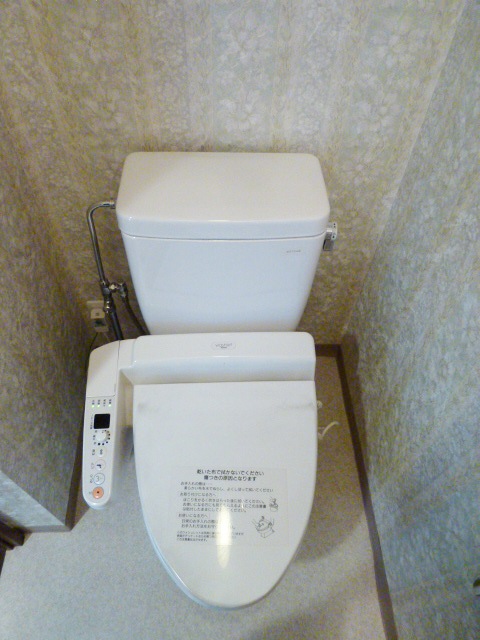 Toilet. Western-style toilet (shower toilet)