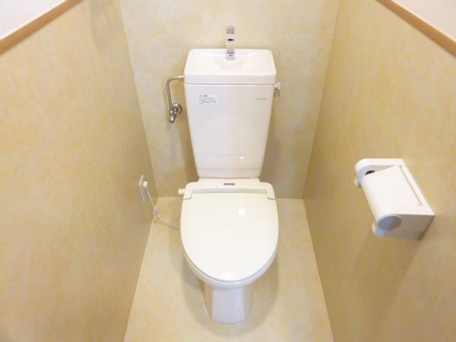 Toilet. Separate is a Western-style
