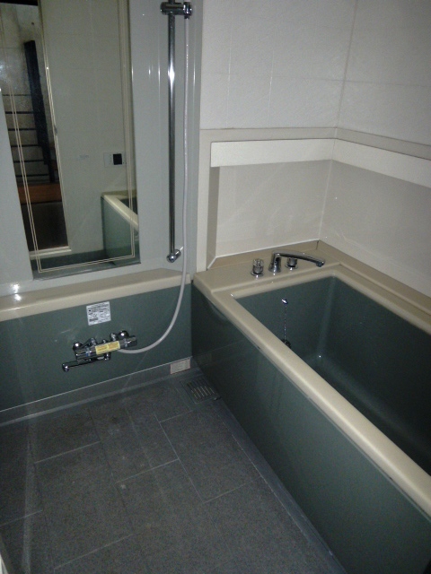 Bath. Bathroom (with Reheating function)