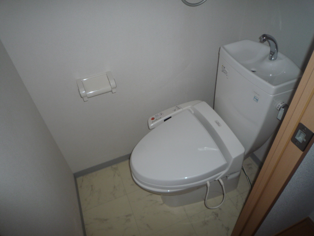 Toilet. Western-style toilet (shower toilet)