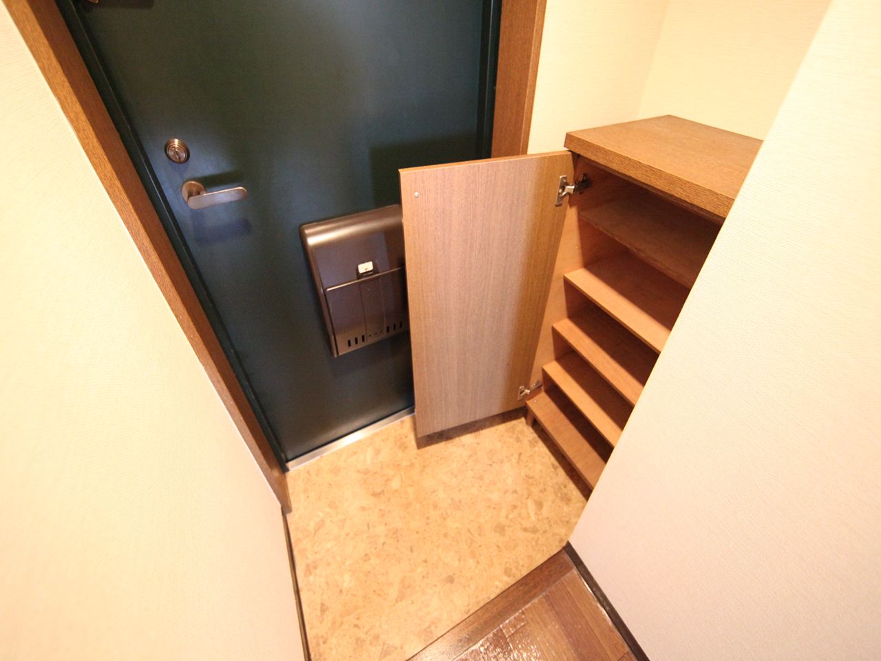 Entrance. Entrance With shoe box