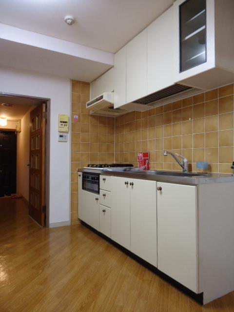 Kitchen. Wide sink in a three-burner stove.