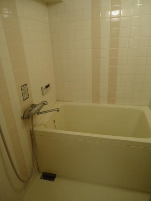 Bathroom. Now with even seasonal safe add-fired function.
