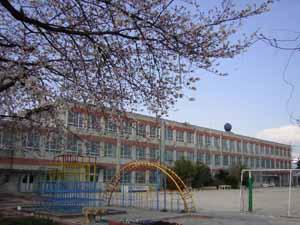 Other. Platinum elementary school