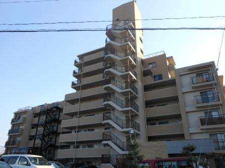 Local appearance photo. Local (11 May 2013) Shooting