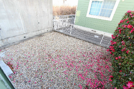 Balcony. It is wide veranda.