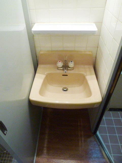 Washroom. Independent wash basin