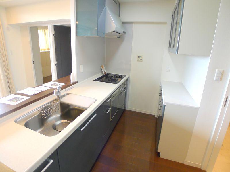 Kitchen. Indoor (11 May 2013) Shooting