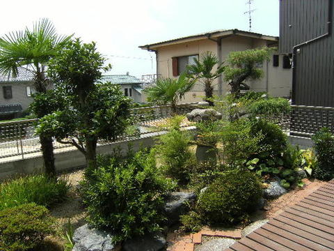 Garden. Garden