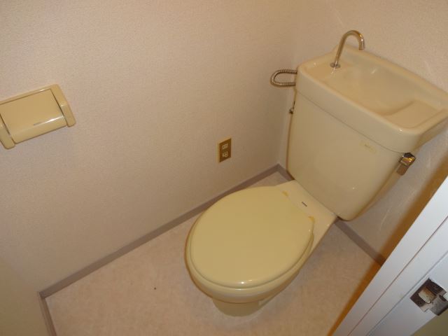 Toilet. Dressing room independent wash basin with