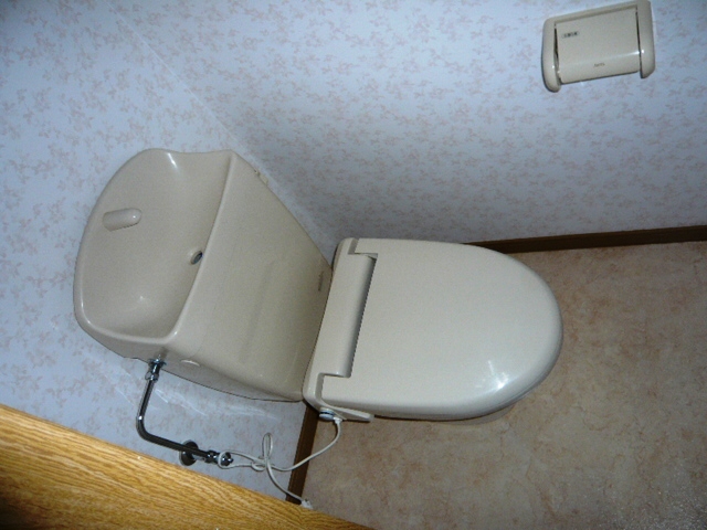 Toilet