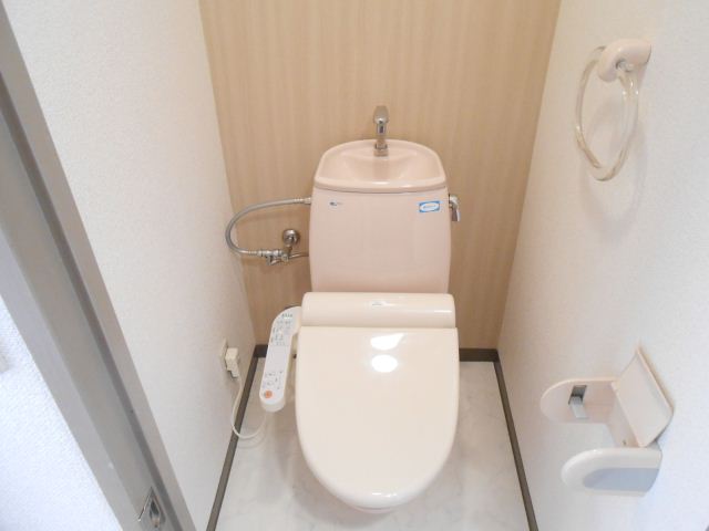 Toilet. Shower toilet with