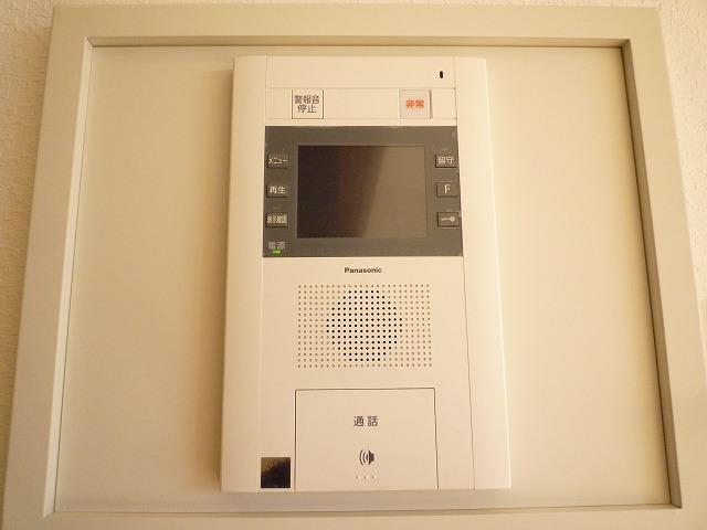 Other introspection. With TV monitor intercom