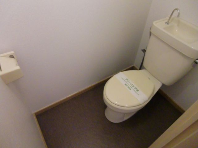 Toilet. Toilet with cleanliness