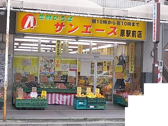 Supermarket. 70m to San Ace (Super)