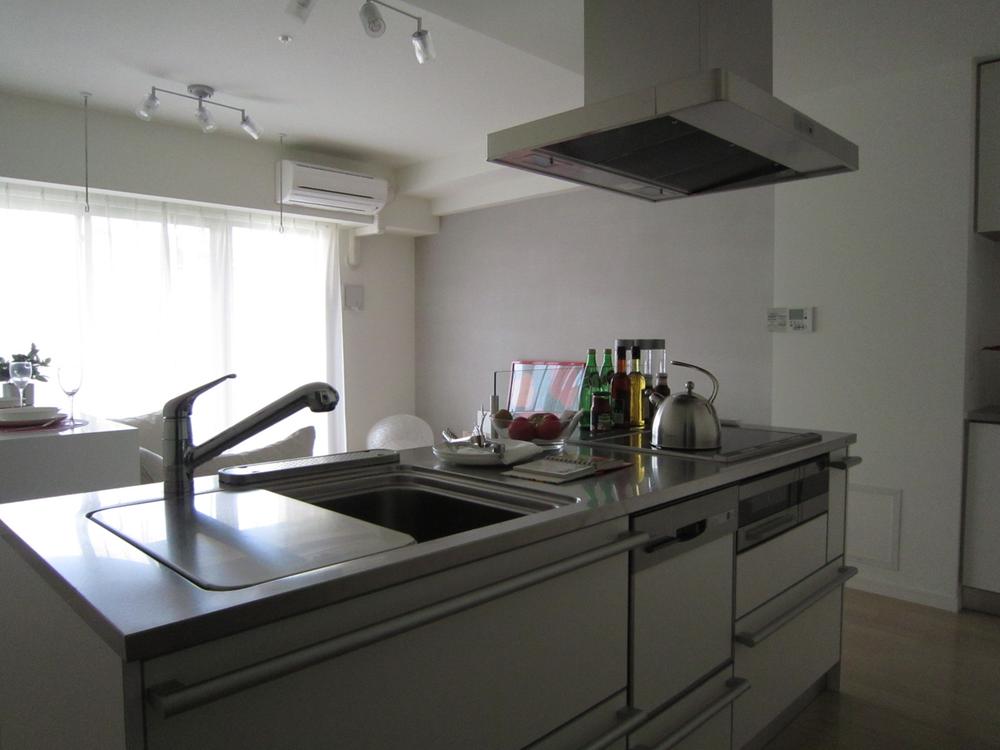 Kitchen. Island kitchen with dishwasher dryer (June 2012) shooting