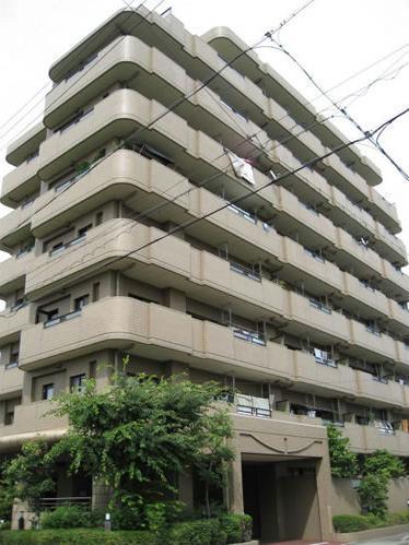 Local appearance photo. Local (July 2013) Shooting