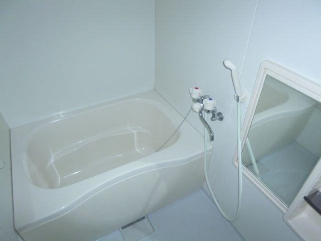 Bath. This tub and spacious. Also it comes with a mirror. 