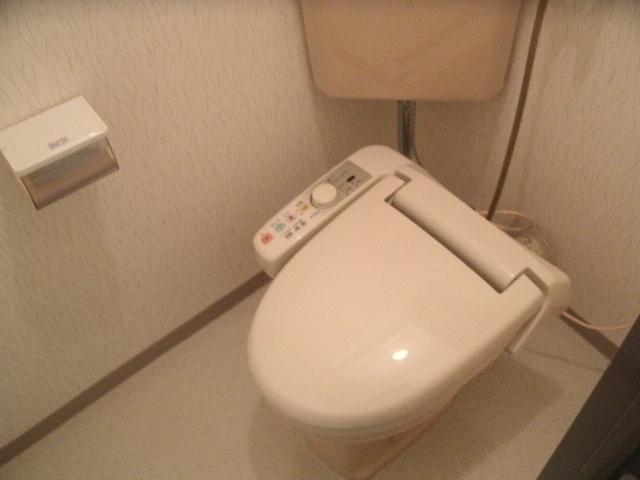 Toilet. Indoor (September 2013) Shooting