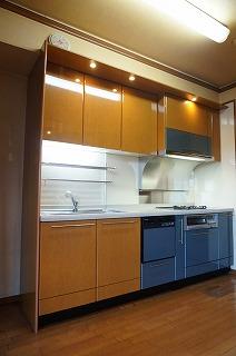 Kitchen. System kitchen Stove 3-neck