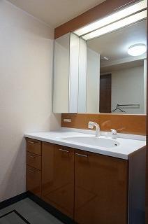 Wash basin, toilet. With storage vanity Shower