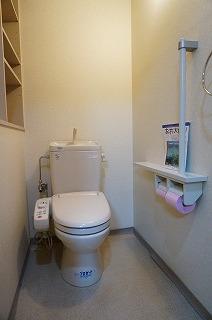 Toilet. Shower toilet