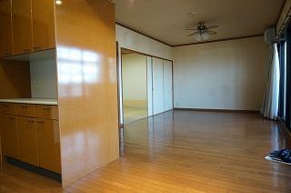 Living. From the kitchen to the living room