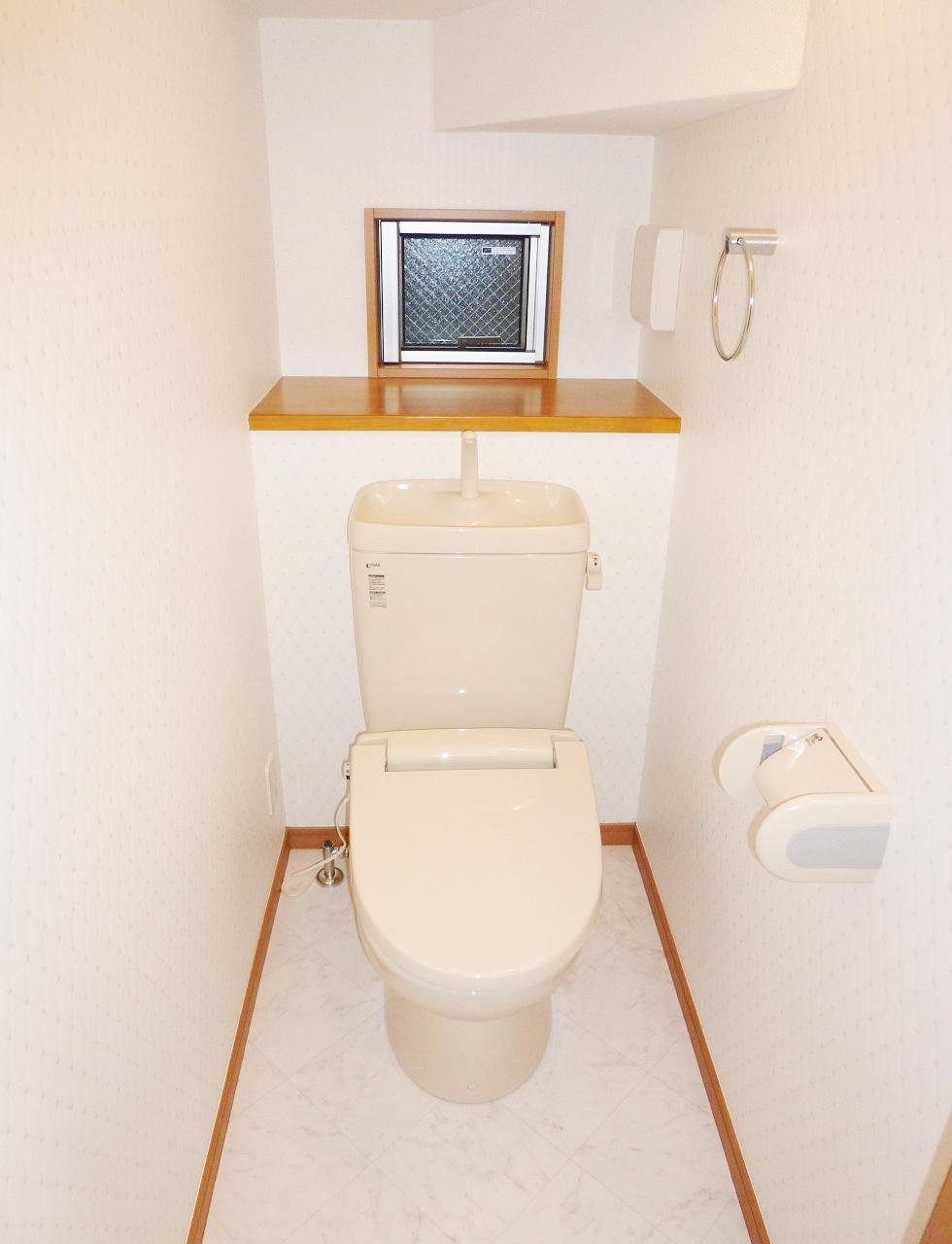 Toilet. Room (May 2013) Shooting