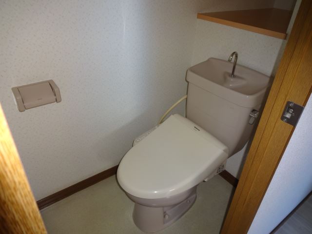 Toilet. Is the toilet there is a shelf on the back