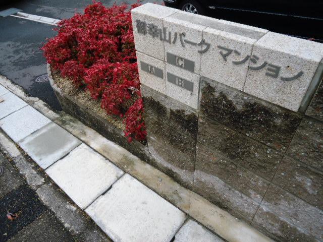 Other local. Local (12 May 2013) Shooting