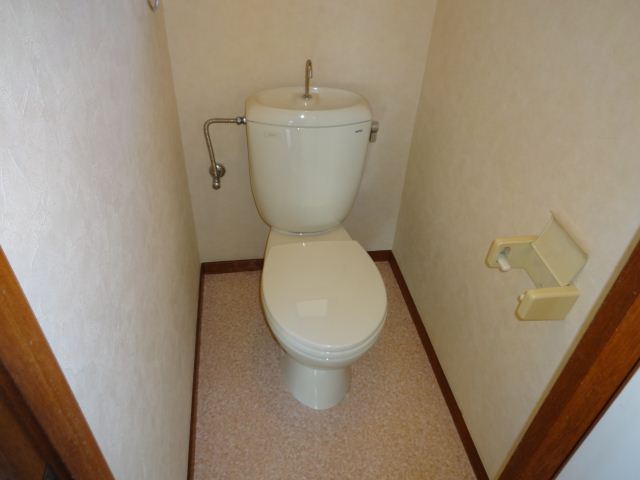 Toilet. Toilet with cleanliness