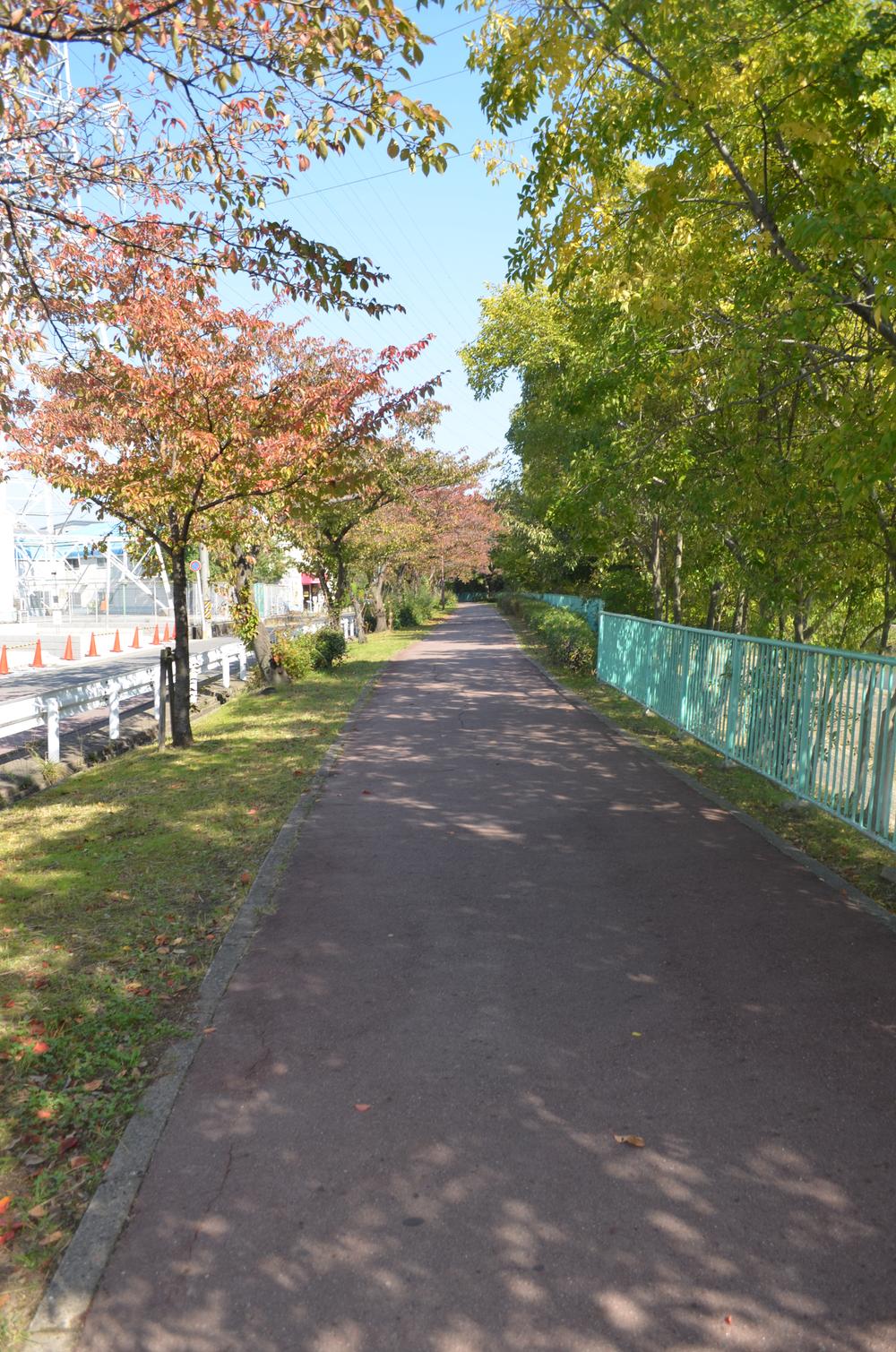 Other. Near the Tenpakugawa cherry trees. Cherry blossoms are in full bloom in the spring ☆