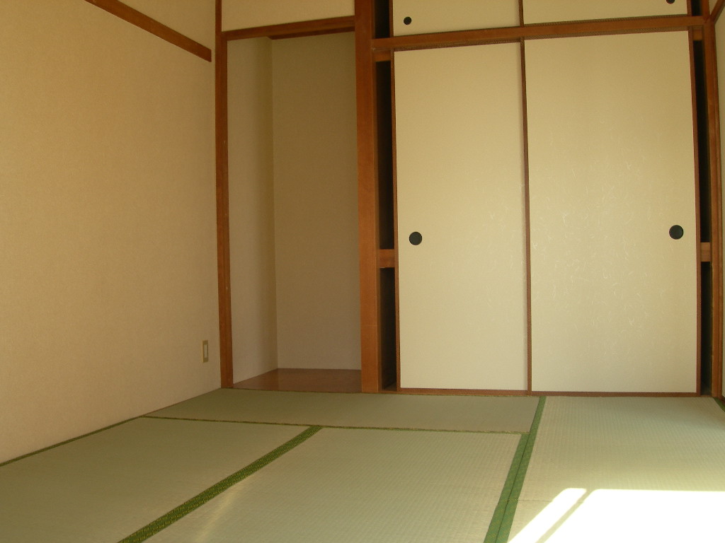 Other room space. There is also a alcove.