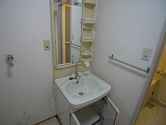 Washroom. Vanity is vanity shower.