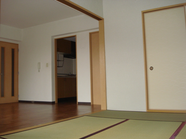 Other room space. Living and connect Japanese-style room