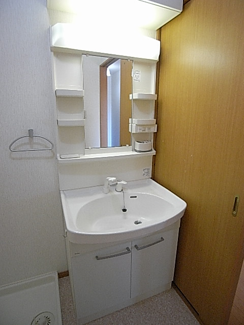 Washroom. Shampoo dresser