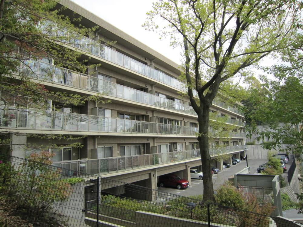 Local appearance photo. Local (April 2013) Shooting