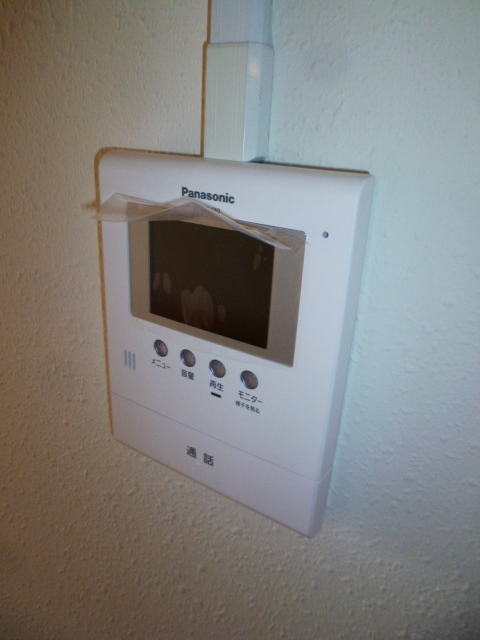 Security. Monitor with intercom