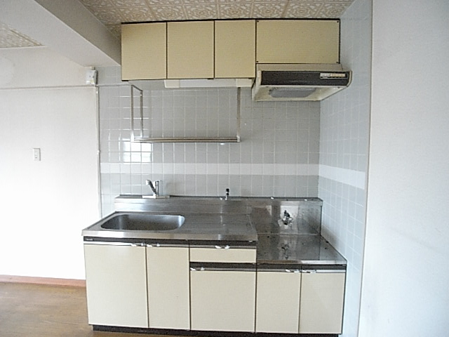 Kitchen. Stove is a bring-your-own