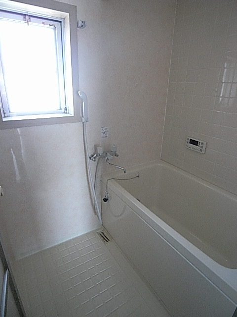 Bath. Really helpful for there is a window in the bath! 