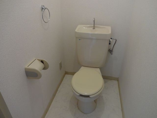 Toilet. Toilet with cleanliness